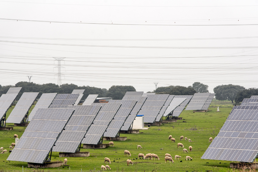 adani solar panels in india